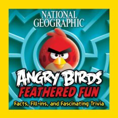 Angry Birds Feathered Fun