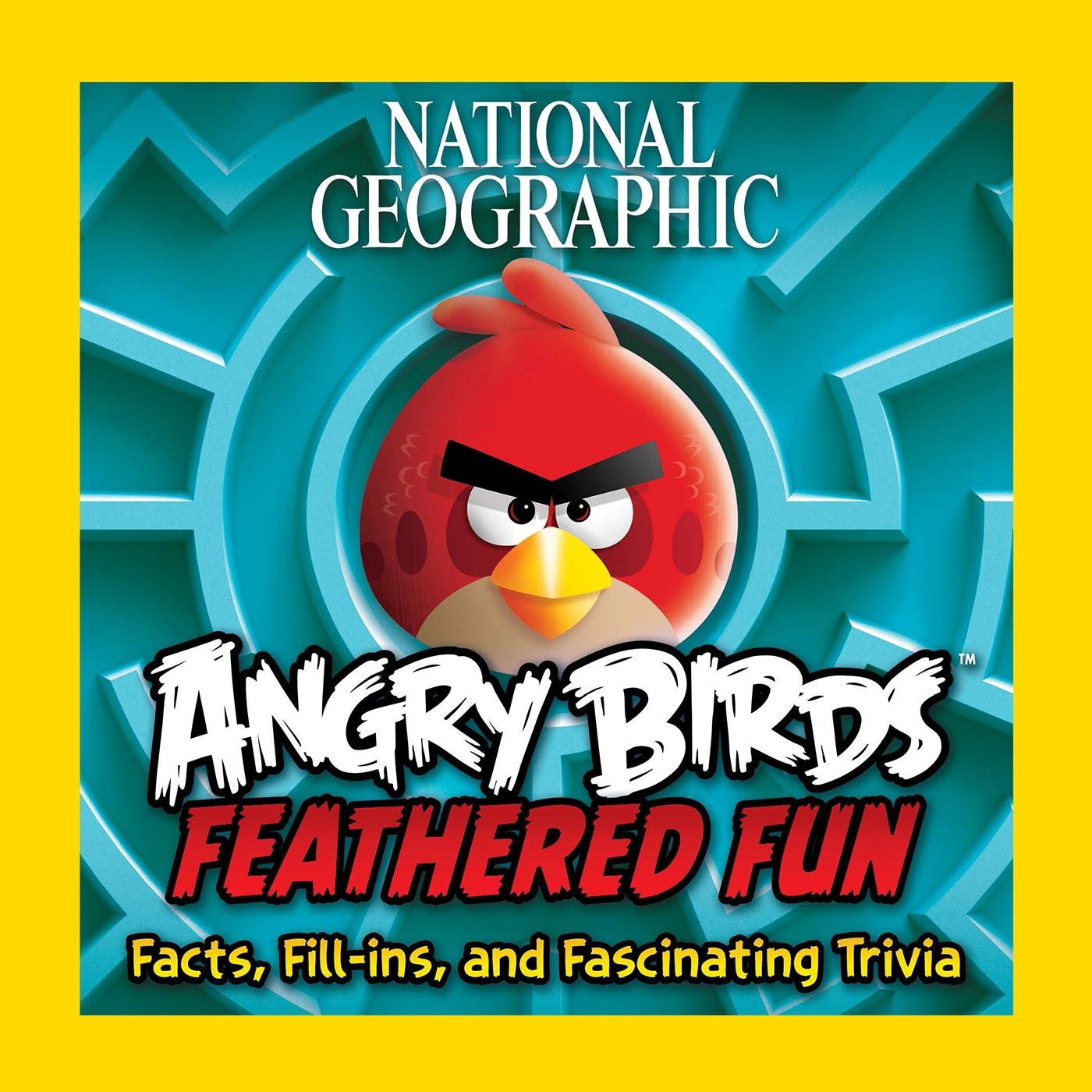 Angry Birds Feathered Fun