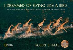 I Dreamed of Flying Like a Bird