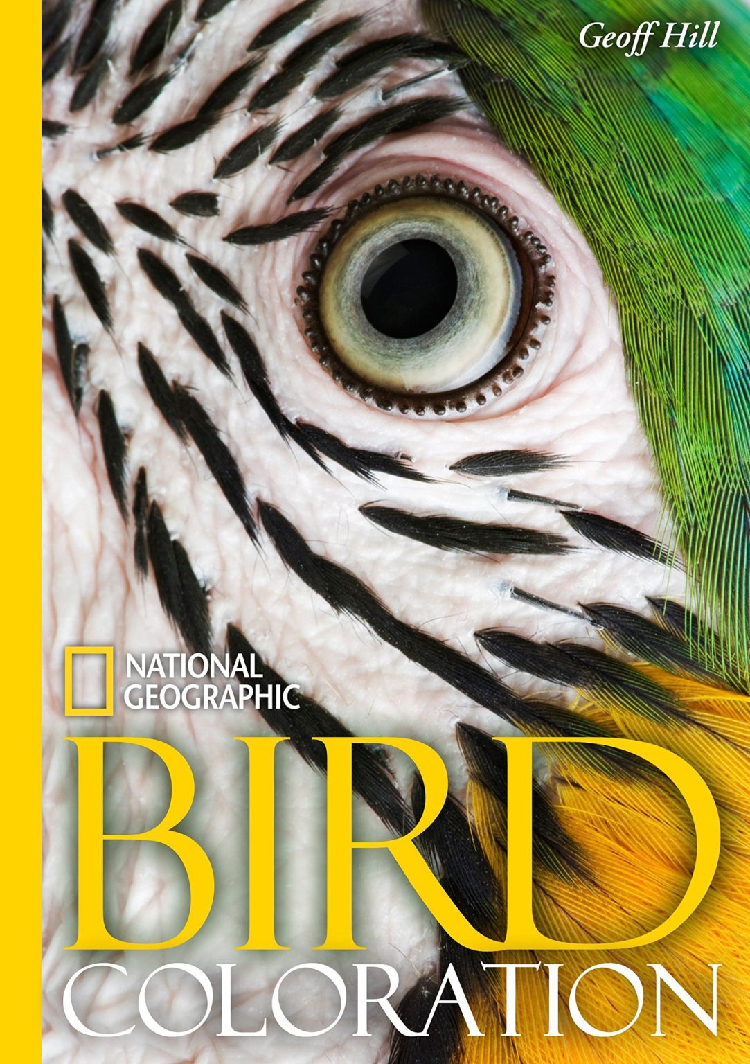 Bird Coloration