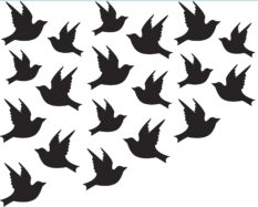 Embossing Folder Birds