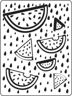 Embossing Folder Watermelon Background