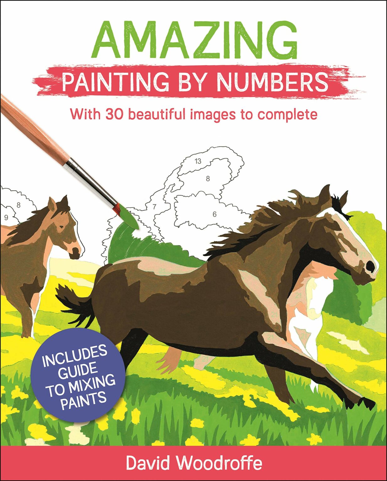 Amazing Paint By Numbers