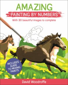 Amazing Paint By Numbers