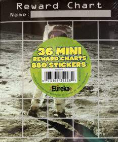Space Mini Reward Charts