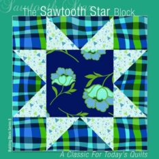 The Sawtooth Star Block
