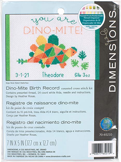 Dino-Mite Birth Records Counted Cross Stitch Kit