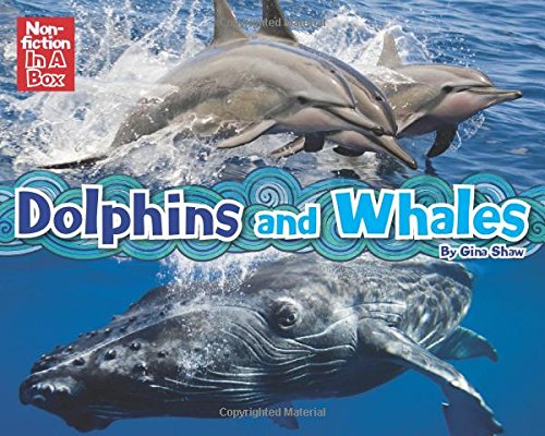 Dolphins and Whales in a Box