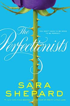 The Perfectionists Book 1