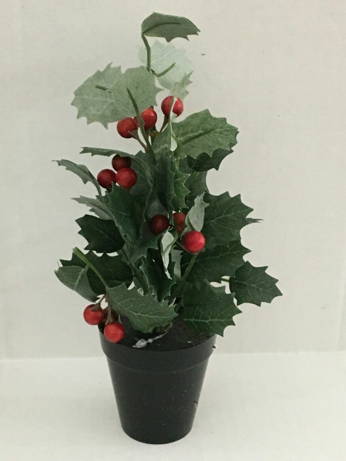 Mini Potted Holly with Red Berries 6.75" Tall