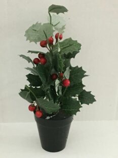 Mini Potted Holly with Red Berries 6.75" Tall