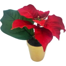 Mini Potted Poinsettia 5" Tall